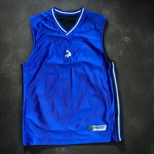 Shaq Dunkman Vintage Y2K Reversible Royal Blue Black Mesh Jersey Men's Medium
